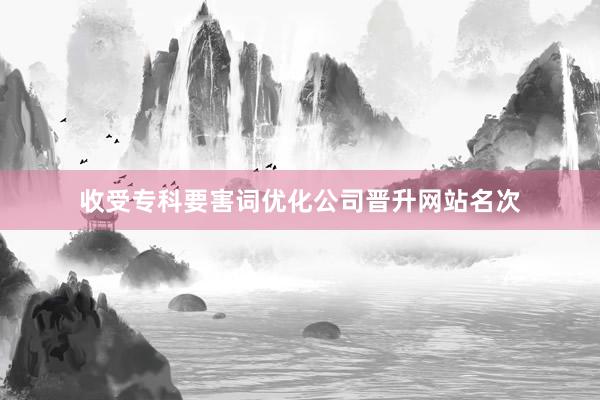 收受专科要害词优化公司晋升网站名次