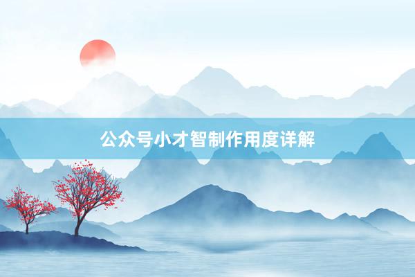 公众号小才智制作用度详解