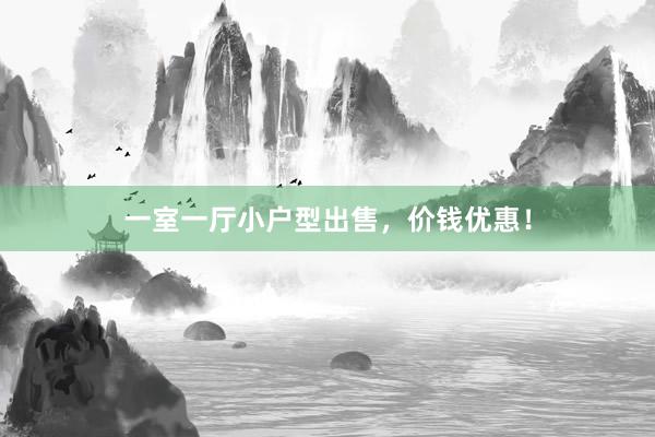 一室一厅小户型出售，价钱优惠！